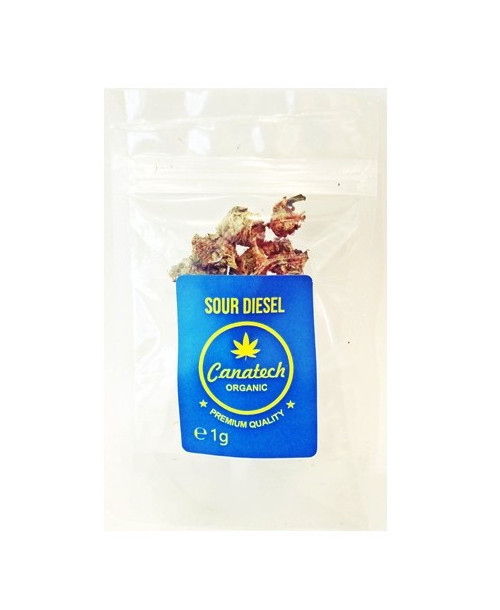 Sour Diesel hemp seed 13 % CBD 1 g