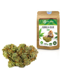 Dr. Jont's Premium CBD Hemp Gorilla Glue - 1g